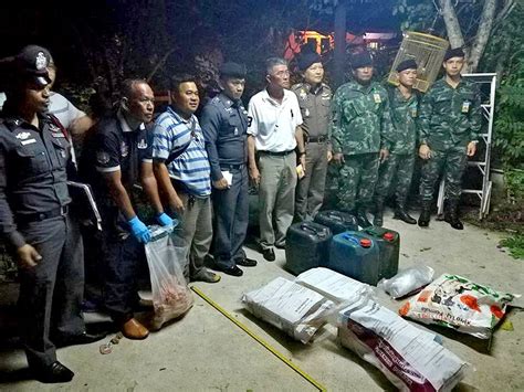 Image result for Krabi Python