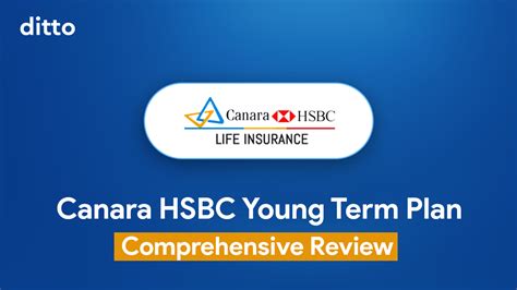 Life Insurance Insights and Advice | Ditto