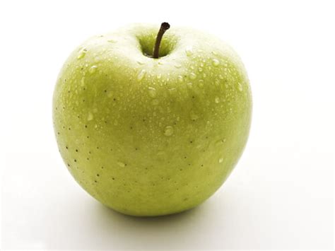 Image result for Apple System.Data