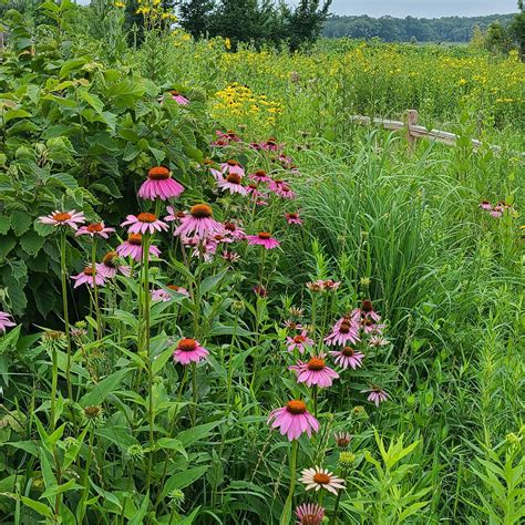 Heller Nature Center (Highland Park): All You Need to Know