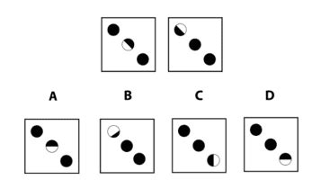 Image result for Pi Practice Test Cog Sample