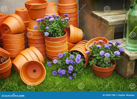 Terracotta flower pots stock photo. Image of background - 59091788