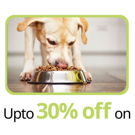 Harry Potter Dog & Cat Food | Buy Puppy & Kitten Food Online at Best ...