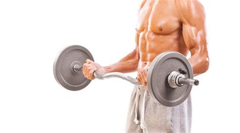 Programme Biceps 的图像结果