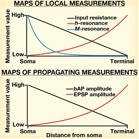 Cellular Neurophysiology Laboratory, MBU, IISc