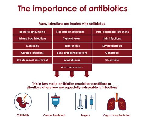 Antibiotics - Understand - ReAct
