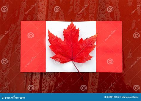 Maple Leaf on Canadian Flag Stock Image - Image of color, design: 202012755