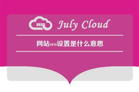 网站seo设置是什么意思 - 七月云