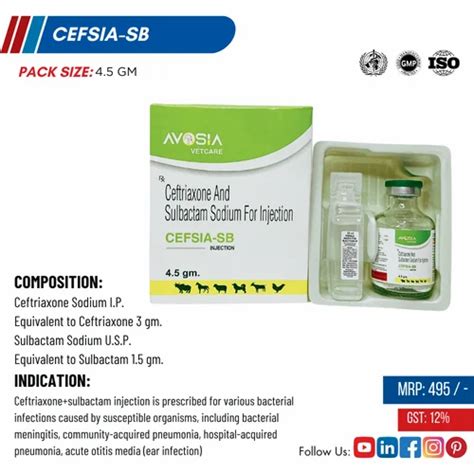 Ceftriaxone And Sulbactam Injection - Ceftriaxone Sulbactam 450 Mg ...