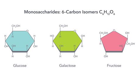 Structural Formula Of Fructose And Galactose