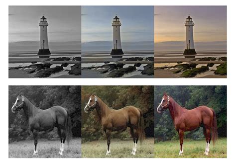 Tensorflow 的图像结果