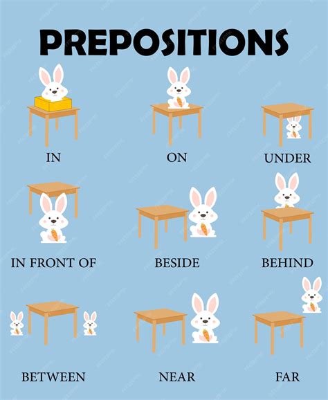 Preposition of place | Premium Vector