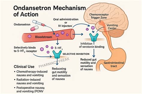 Mechanism Of Zofran