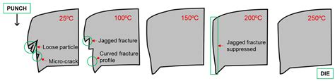 Characterization of Sheared Edges in Warm Blanking of Magnesium Alloy AZ31B