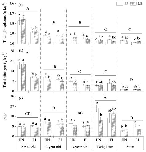 Mixed Broadleaved Tree Species Increases Soil Phosphorus Availability ...