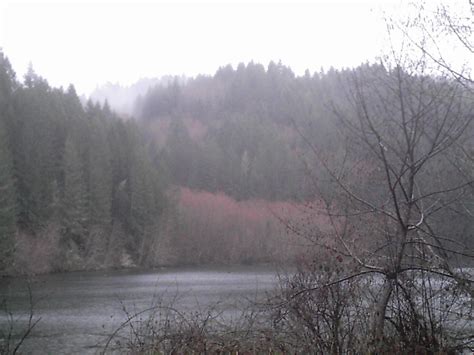 Elevation of Triangle Lake, OR, USA - MAPLOGS