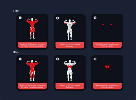 Image result for Muscle Simulator GUI