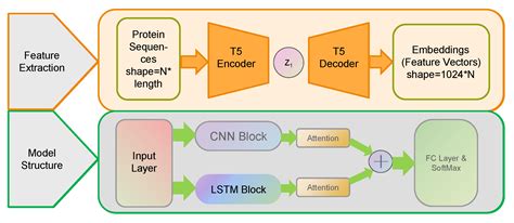 DTVF: A User-Friendly Tool for Virulence Factor Prediction Based on ...