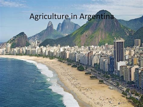 Argentina Agriculture 的图像结果