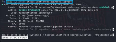 Image result for Kali Linux Update Command
