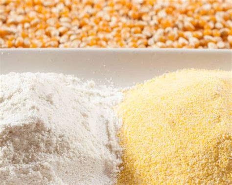 The BEST Corn Flour Substitutes To Try | The Olive Branch Nest