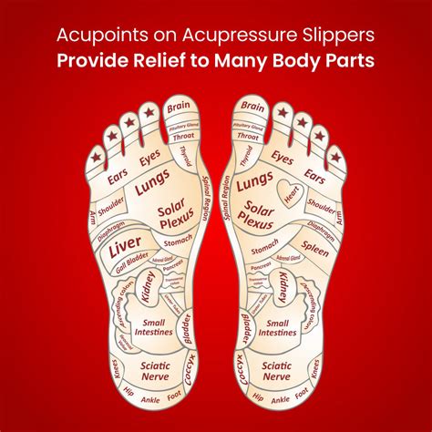 Premium Acupressure Slippers – Comfort & Wellness for Your Feet – Dr. Ortho