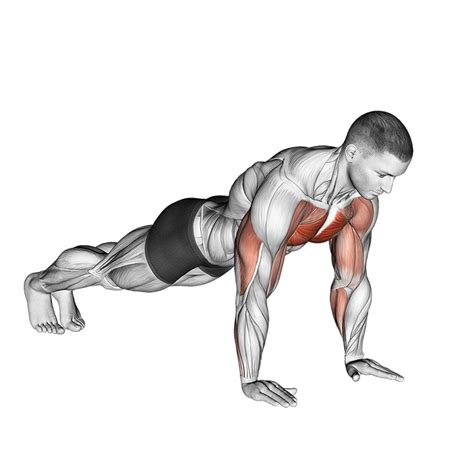 Image result for Explosive Push-Up Exercise