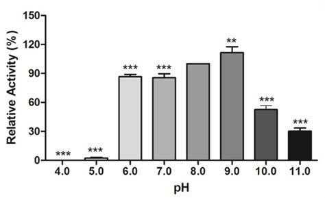 Bati Butter as a Potential Substrate for Lipase Production by ...