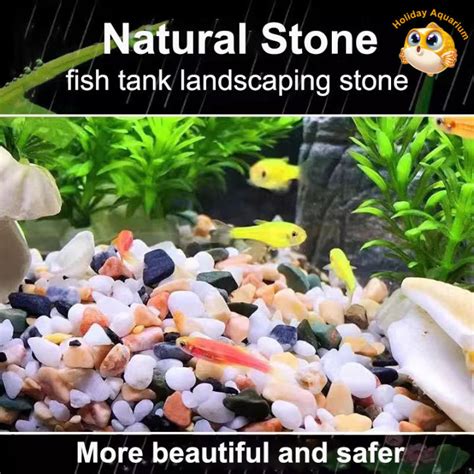 Image result for Fish Tank Pebbles