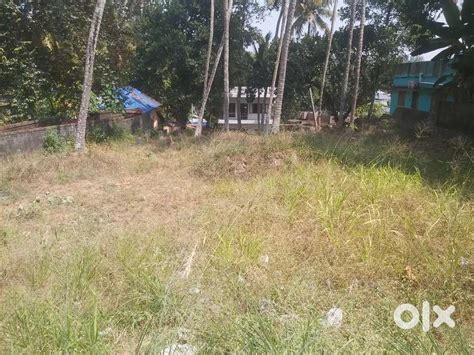 17 cent semi commercial land for sale - Lands & Plots - 1804811673