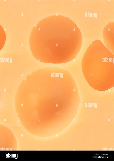 Cheese 的图像结果