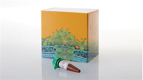 NanoBRET® 590 Dyes