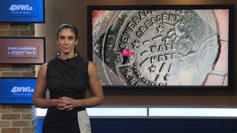 Sewerage and Water Board says thousands of alerts of possible leaks ...