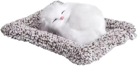 Buy SCOOBA Super Soft Cat Stuffed Toy, Car Dashboard Showpiece, Soft ...