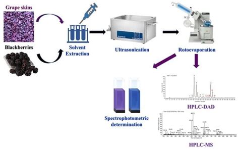 Total Phenolic, Anthocyanins HPLC-DAD-MS Determination and Antioxidant ...