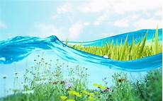 Wallpaper Of Fresh by Fresh Wallpapers Wallpaper Cave Wallpaper Of Fresh