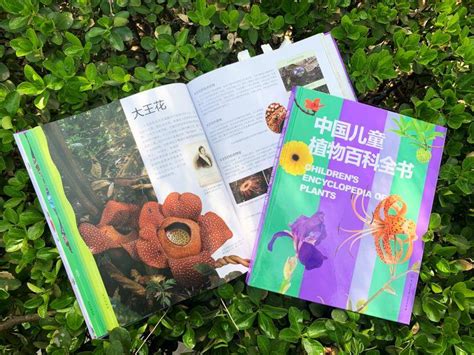 这本高颜值百科全书，带孩子探索神奇的“植物王国”！_中国
