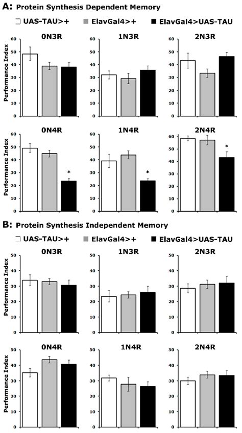 Differential Effects of Human Tau Isoforms to Neuronal Dysfunction and ...