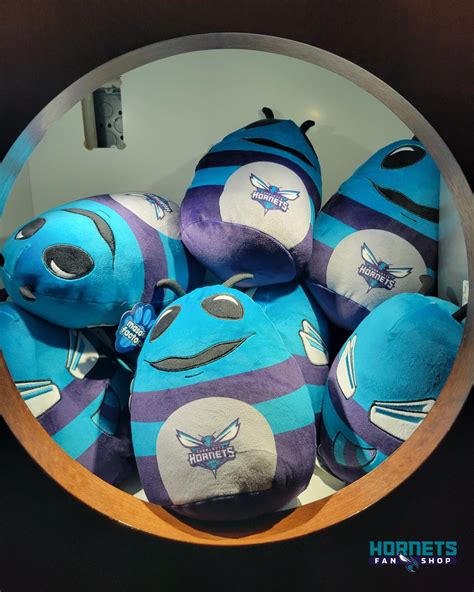 Hornets Fan Shop (@hornetsfanshop) • Instagram photos and videos