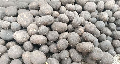 ये है देश की सबसे महंगी सब्जी, लेकिन नहीं होती इसकी खेती - This is the ...