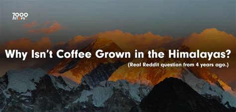 Why Isn’t Coffee Grown in the Himalayas? – 7000steps