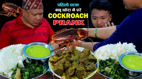 Image result for Cockroach Prank Videos