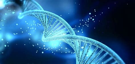 DNA Activation Code 的图像结果