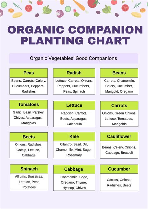 Sunflower Companion Planting Chart in PDF, Illustrator - Download ...