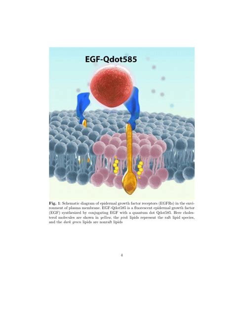 Journal of Materials Engineering and Performance Example 的图像结果