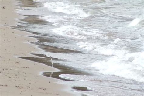 No Body Contact Advisory Lifted For Chippewa Co. Beach – 9&10 News