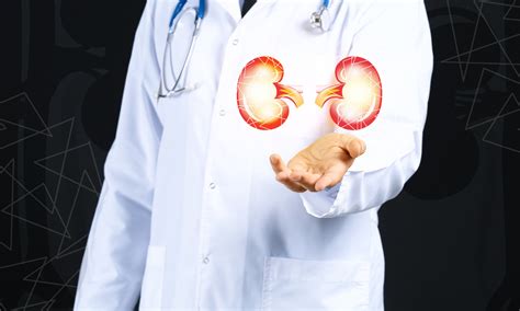 Glucagon-like peptide-1 receptor agonists improve kidney graft survival ...
