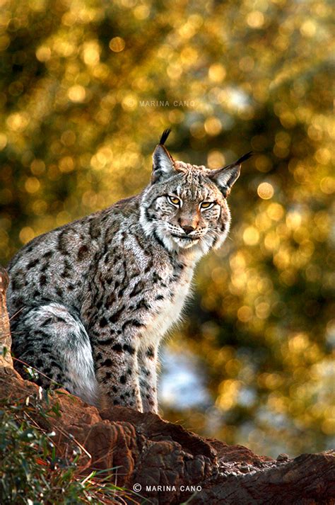 best beginner camera for photography and video