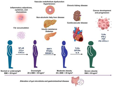The Related Metabolic Diseases and Treatments of Obesity