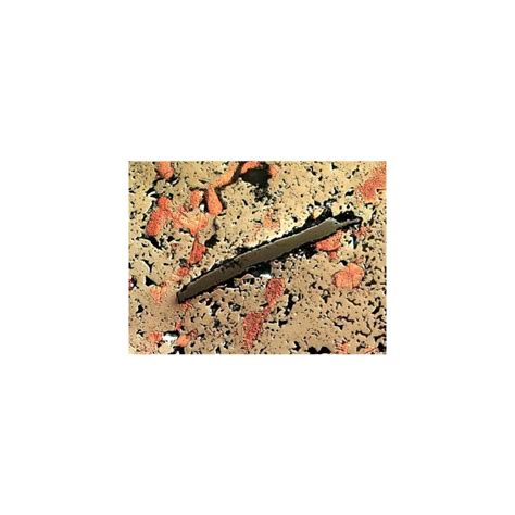 Buy AmScope ME600T-8M Digital Episcopic Trinocular Metallurgical ...